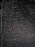 image number DSC_7456